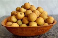 جوآ / جوآزیرو